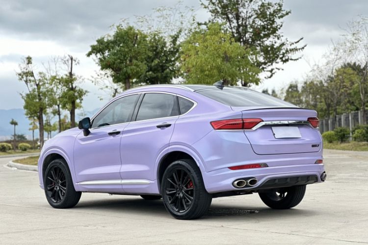 GEELY Tugella 2020 car image #4