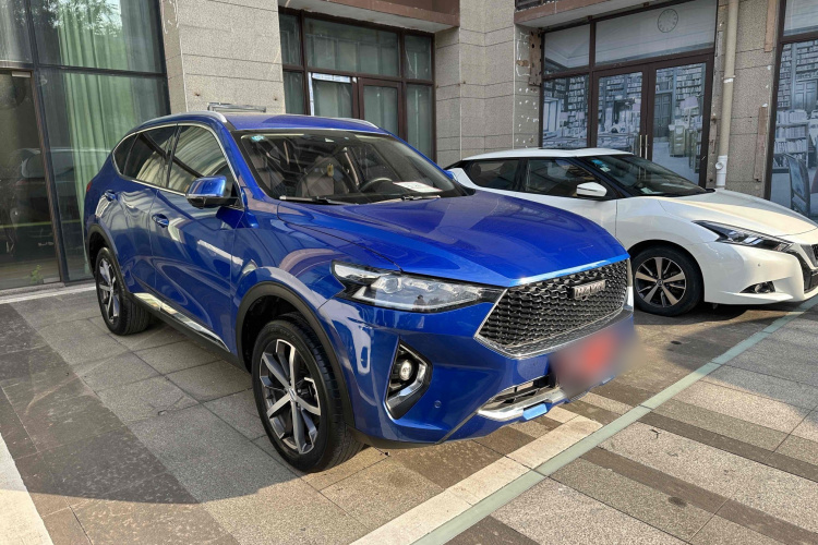 Haval F7 2020 car image #4