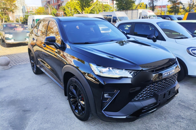 Haval H6S 2022 car image #4