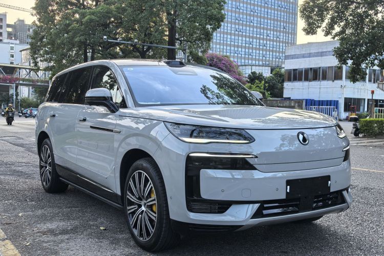 Denza N9 car image #4