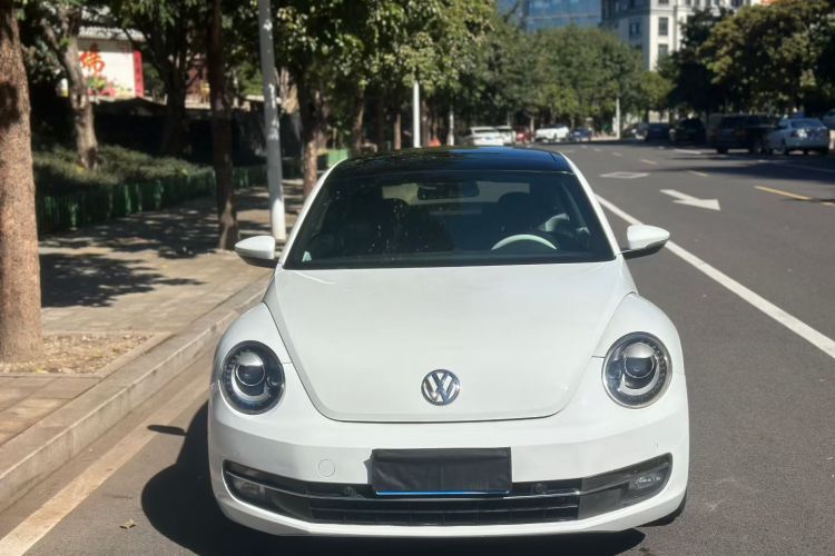 Volkswagen Beetle 2015 car image #4