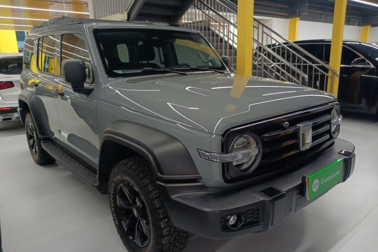 Tank 300 2023 imagen de coche #4