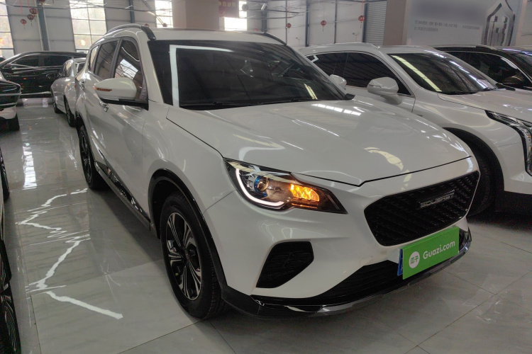 Soueast DX8 S 2023 car image #4