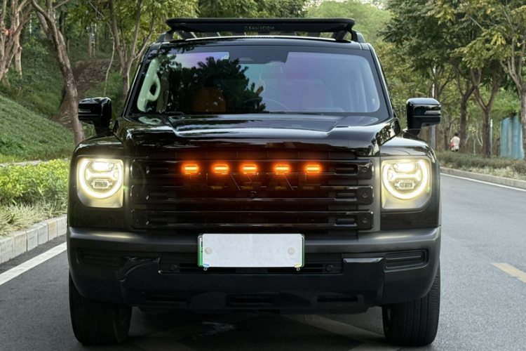 Haval Raptor New Energy 2024 car image #4