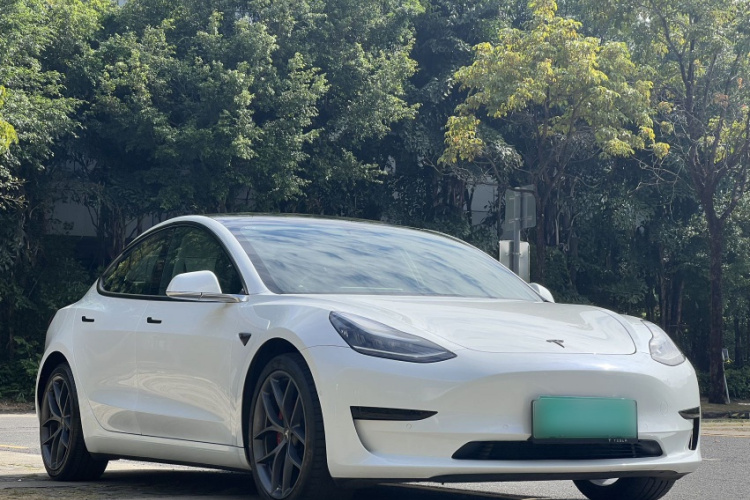 Tesla Model 3 2020 صورة سيارة #4