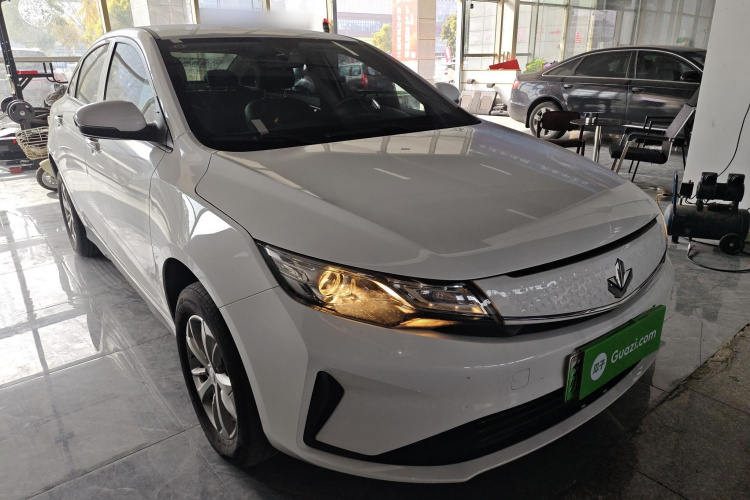 睿蓝汽车 枫叶60s 2022 汽车图片 #4