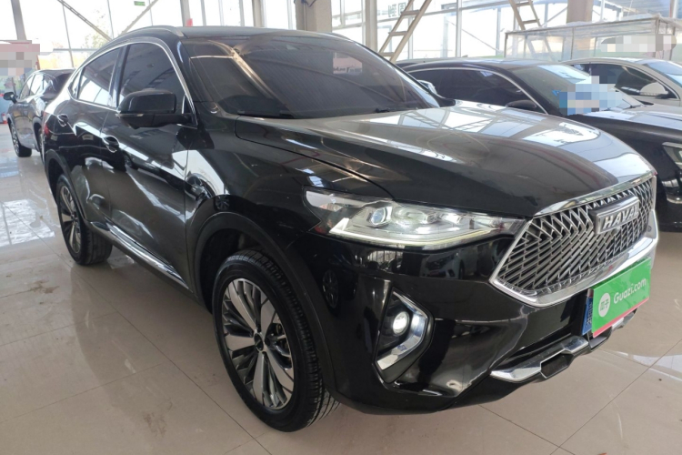 Haval F7x 2021 car image #4