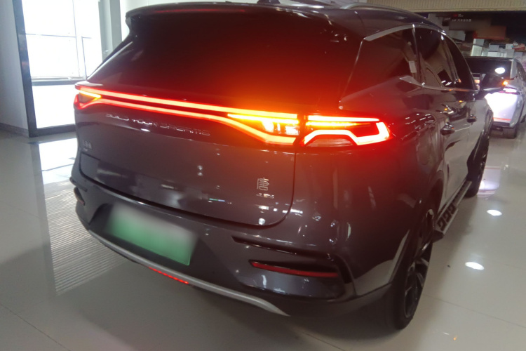 BYD Tang New Energy 2021 immagine di auto #4