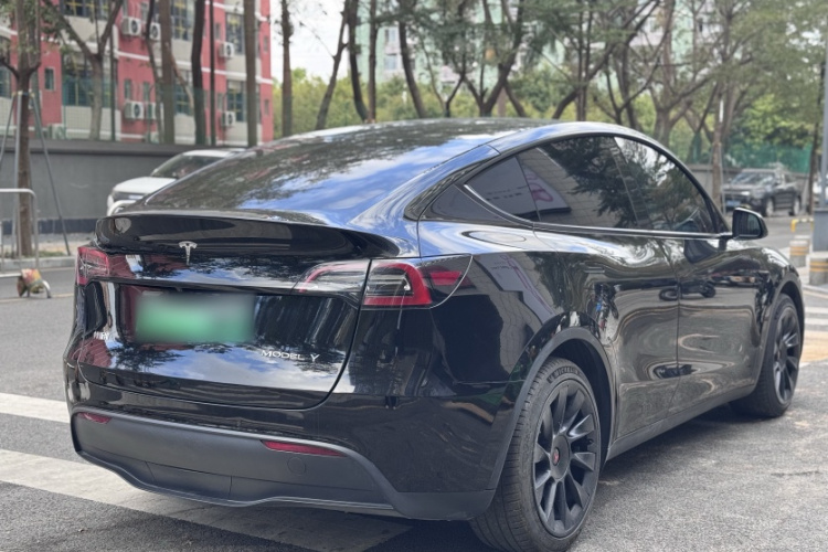 Tesla Model Y 2022 #4 Tesla Model Y 2022 car image #4