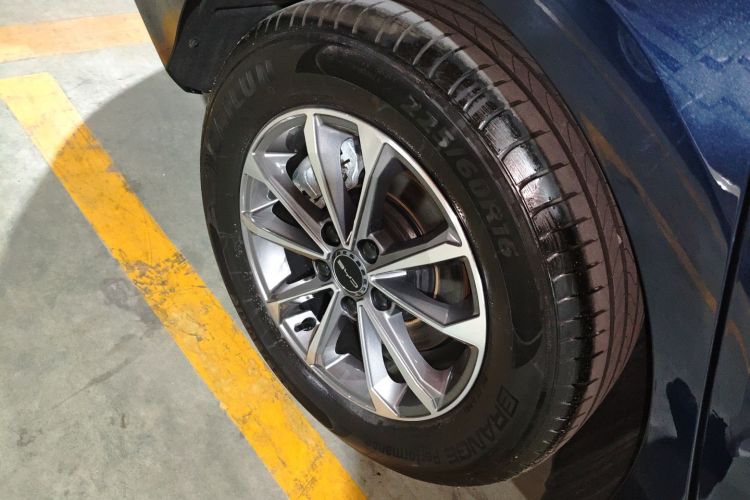 BYD Destroyer 05 2024 car image #4