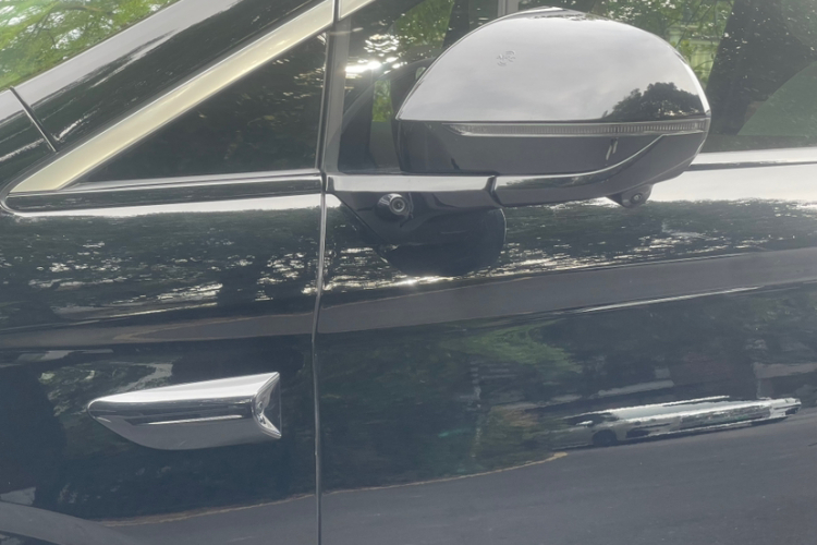 BYD Xia 2024 immagine di auto #4