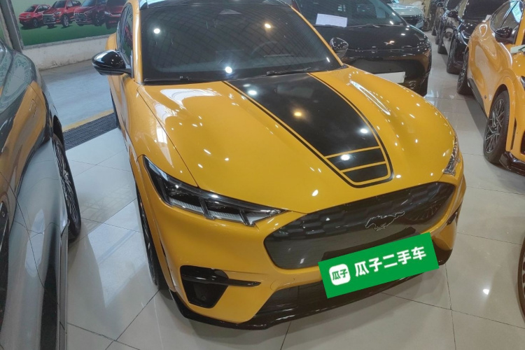 Ford Mustang Mach-E 2023 car image #4