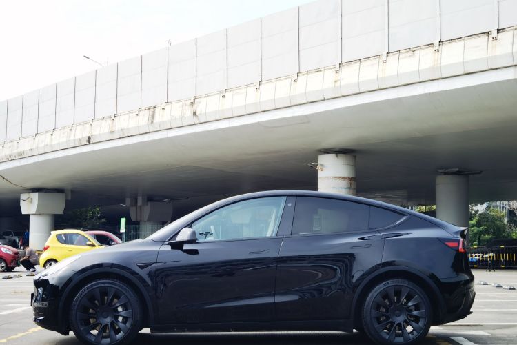Tesla Model Y 2021 #4 Tesla Model Y 2021 car image #4