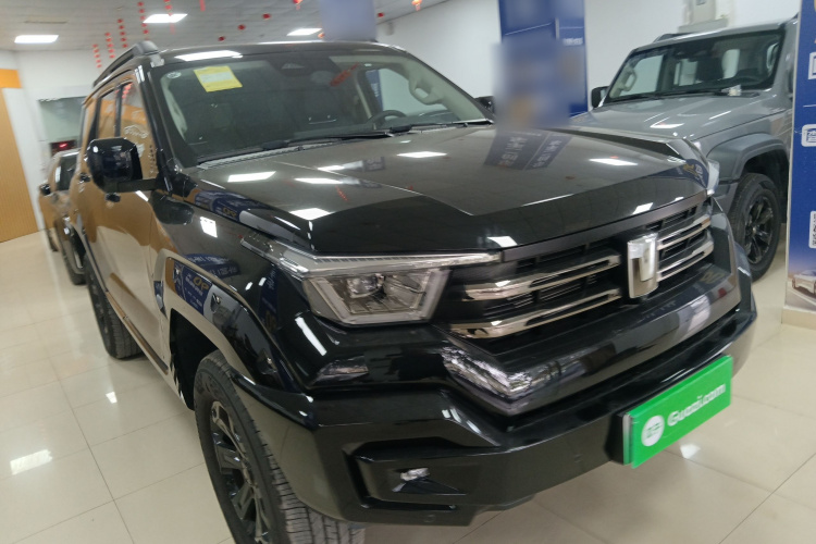 Tank 400 New Energy 2024 #4 Tank 400 New Energy 2024 car image #4