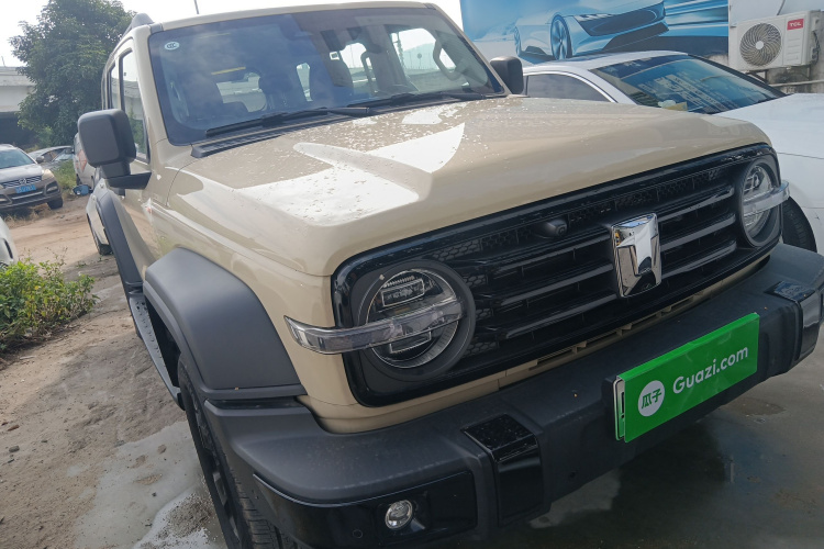 Tank 300 New Energy 2025 car image #4