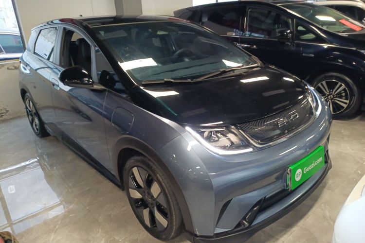 比亚迪 海豚 2023 汽车图片 #4