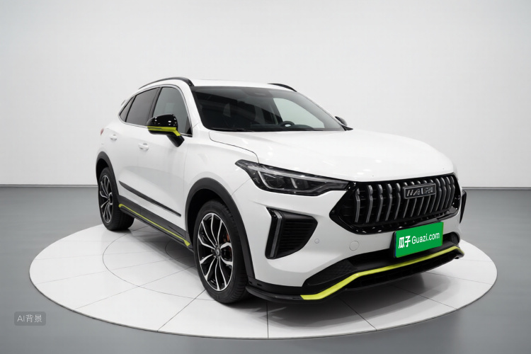 Haval Rabbit 2022 #4 Haval Rabbit 2022 صورة سيارة #4