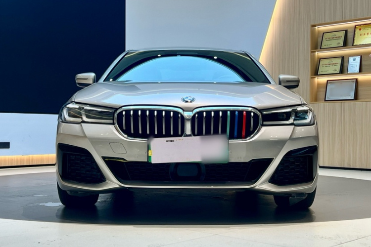 BMW 5 Series New Energy 2021 car image #4