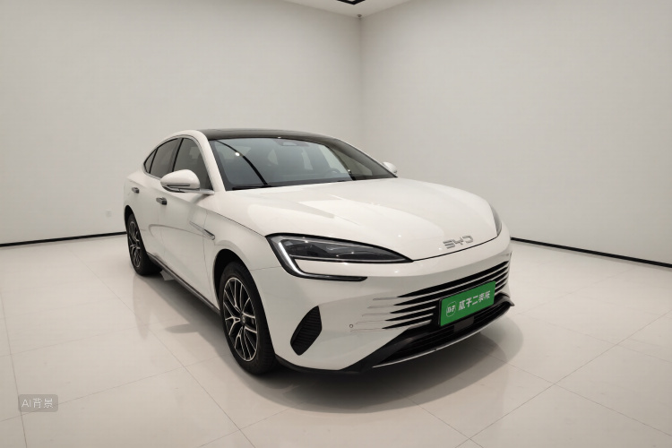 BYD Seal 07 DM-i 2024 car image #4