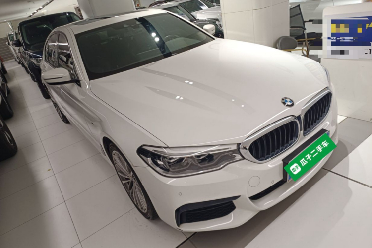 BMW 5 Series (Imported) 2019 #4 BMW 5 Series (Imported) 2019 car image #4