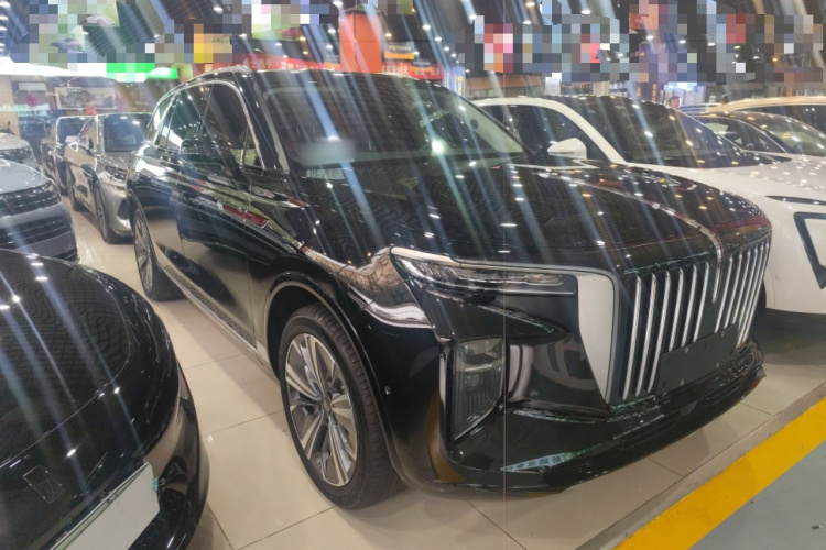 HongQi E-HS9 2021 immagine di auto #4