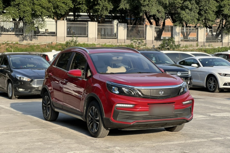 睿蓝汽车 枫叶30X 2021 汽车图片 #4