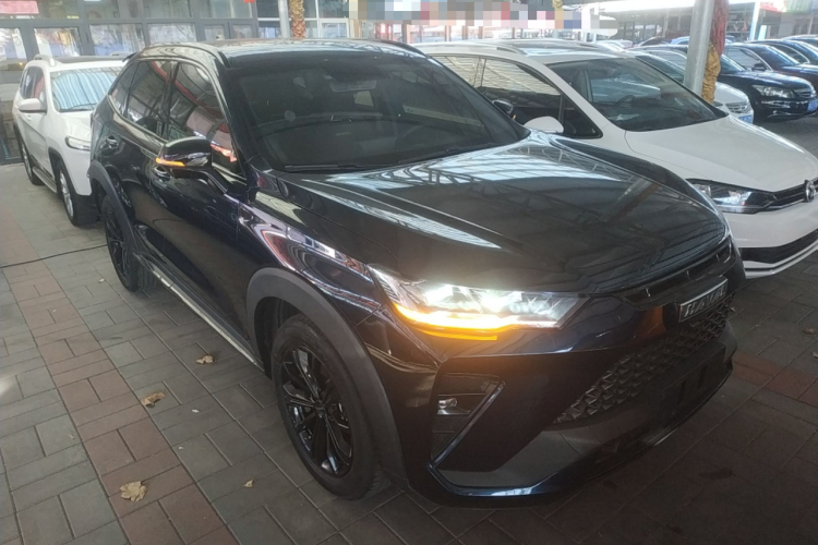 Haval H6S 2021 immagine di auto #4