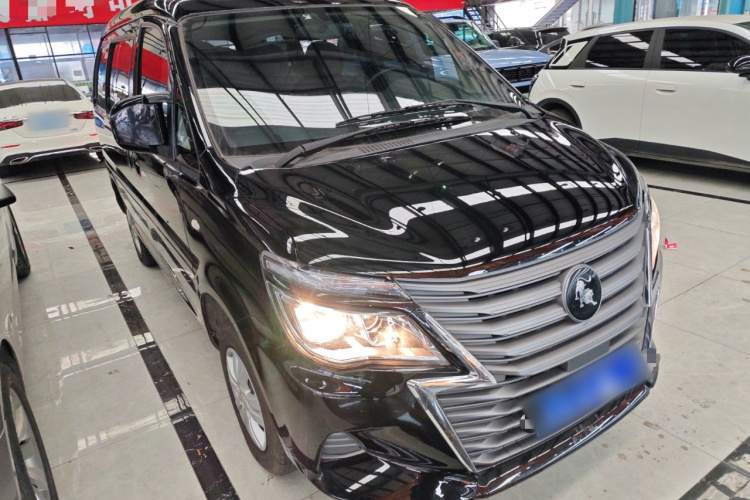 Forthing Lingzhi 2024 immagine di auto #4