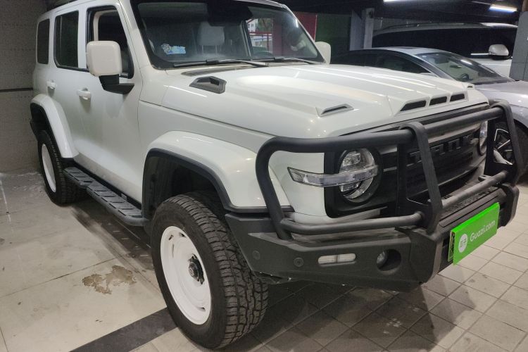 Tank 300 New Energy 2024 car image #4