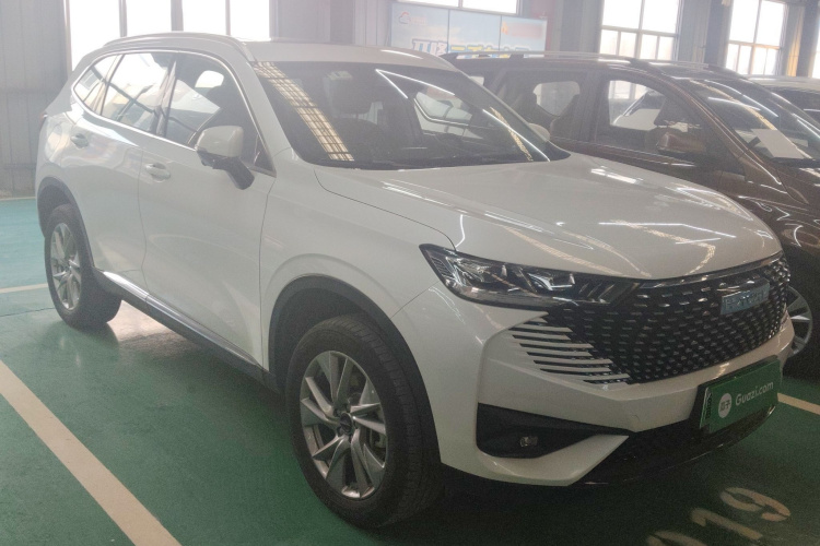 Haval H6 2022 car image #4