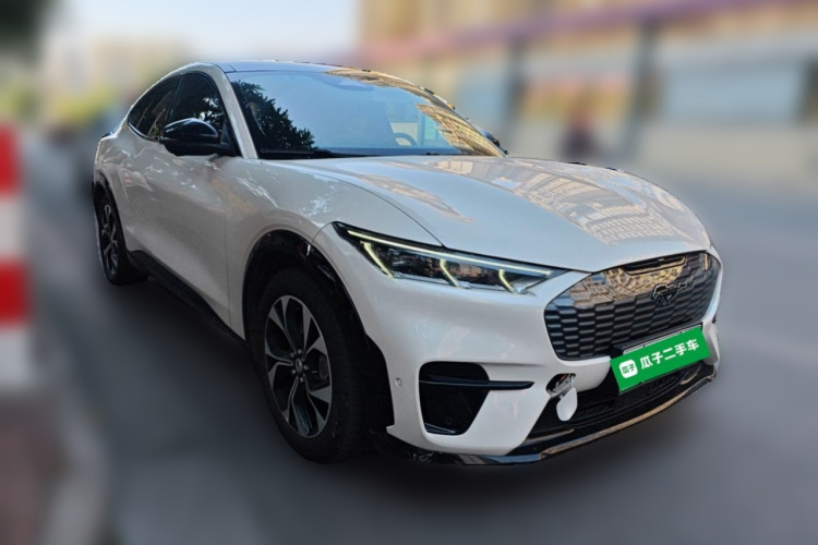 Ford Mustang Mach-E 2022 #4 Ford Mustang Mach-E 2022 car image #4