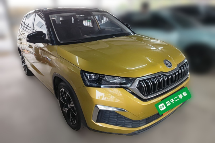 Skoda Kamiq 2019 car image #4