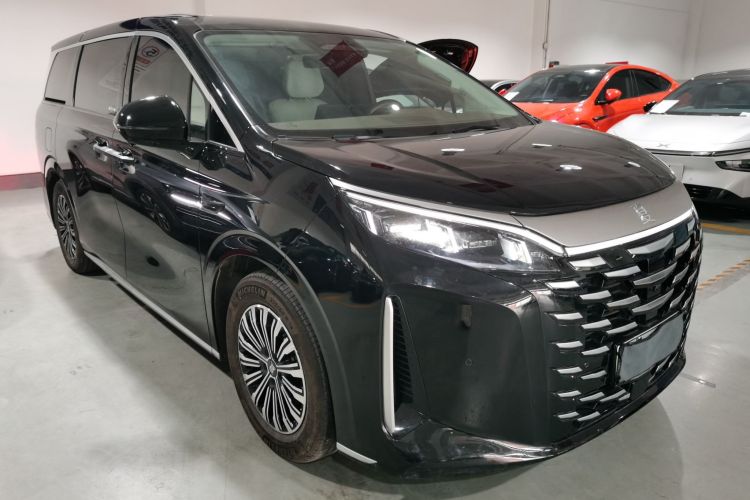 BYD Xia 2025 imagen de coche #4