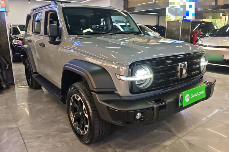 Tank 300 New Energy 2025 car image #4