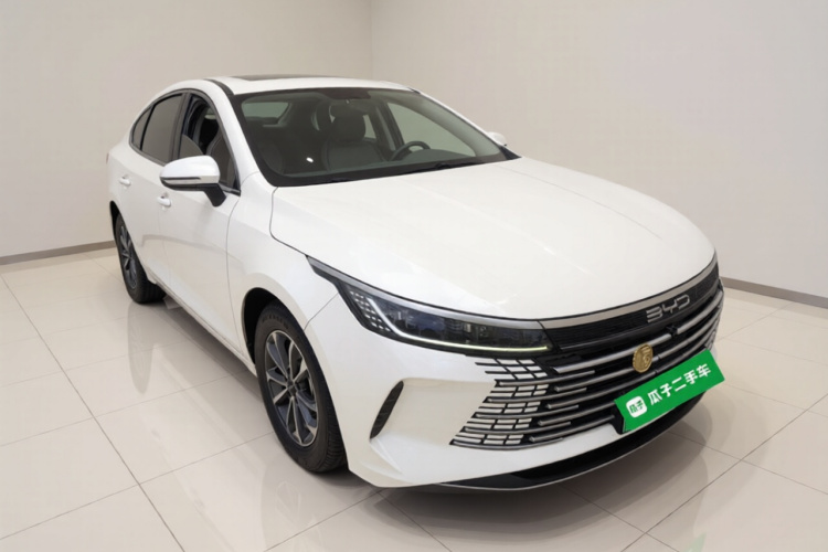BYD Destroyer 05 2024 car image #4