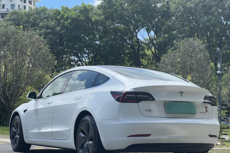 Tesla Model 3 2020 car image #4