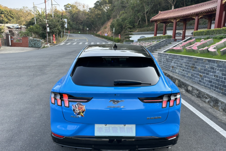 Ford Mustang Mach-E 2022 car image #4