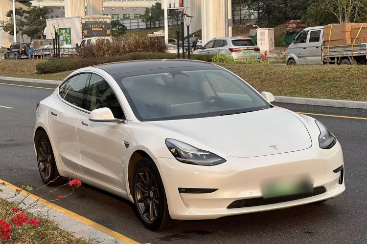 Tesla Model 3 2020 #4 Tesla Model 3 2020 car image #4
