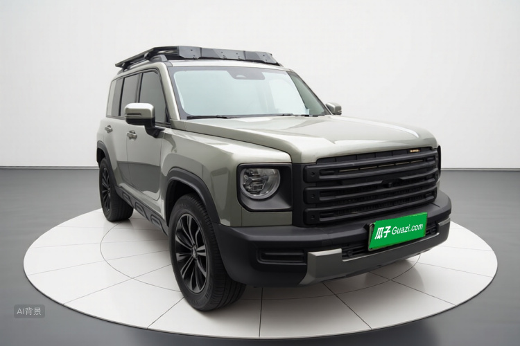 Haval Raptor New Energy 2024 car image #4