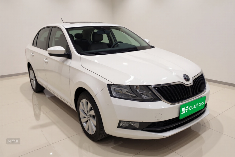 Skoda 2019 car image #4
