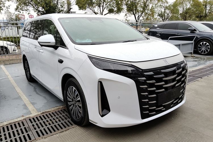 BYD Xia 2024 car image #4