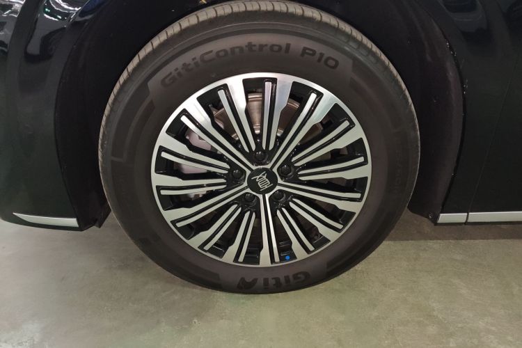 BYD Xia 2025 car image #4