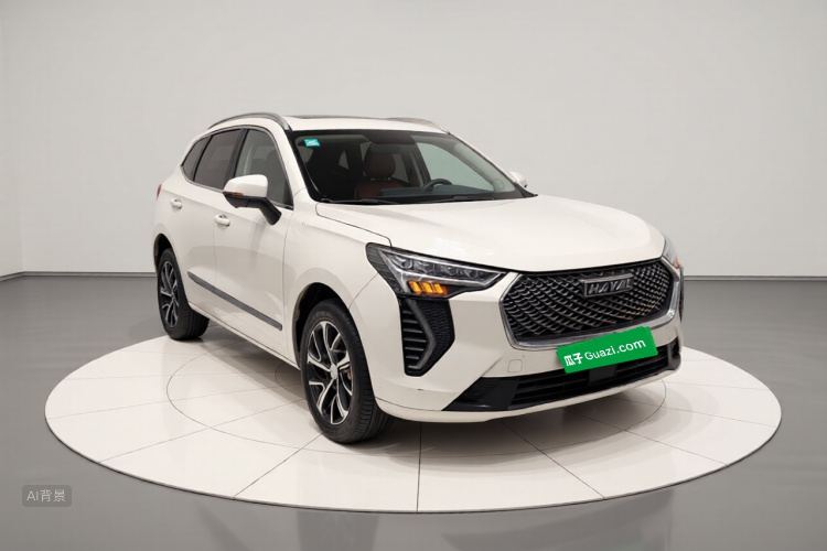 Haval Jolion 2021 car image #4