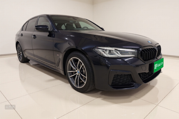 BMW 5 Series New Energy 2021 car image #4