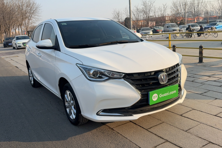 Changan Alsvin 2021 immagine di auto #4