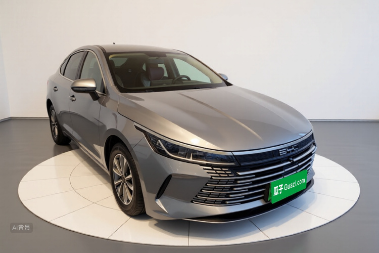 BYD Destroyer 05 2024 car image #4