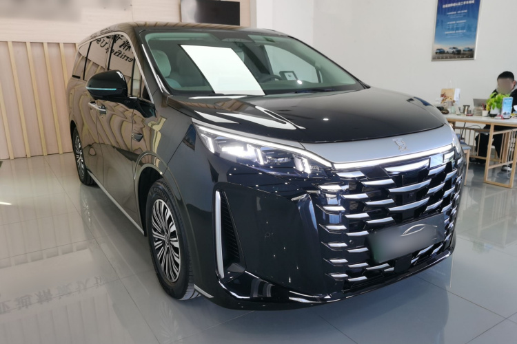 BYD Xia 2024 imagen de coche #4