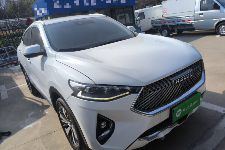Haval F7x 2020 #4 Haval F7x 2020 car image #4