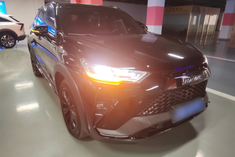 Haval H6S 2022 car image #4