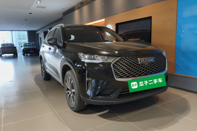 Haval H6 2022 car image #4
